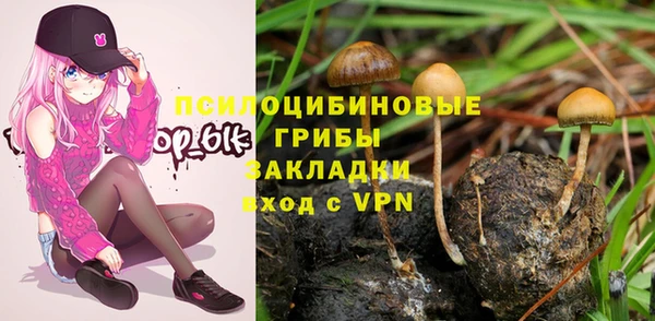 гидропоника Осташков