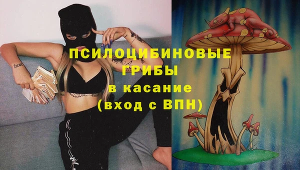 гидропоника Осташков