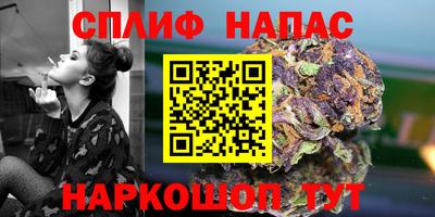 ECSTASY Бийск