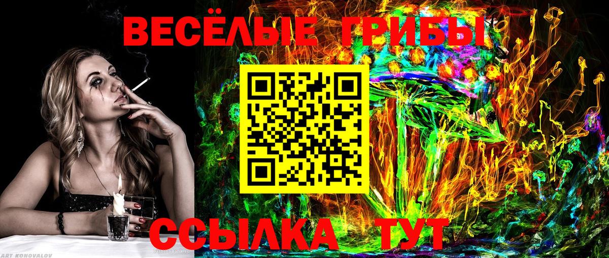 Галлюциногенные грибы Psilocybe Владивосток