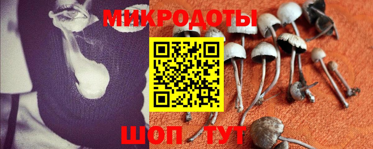 Псилоцибиновые грибы прущие грибы  Галлюциногенные грибы MAGIC MUSHROOMS  закладка  Владивосток 