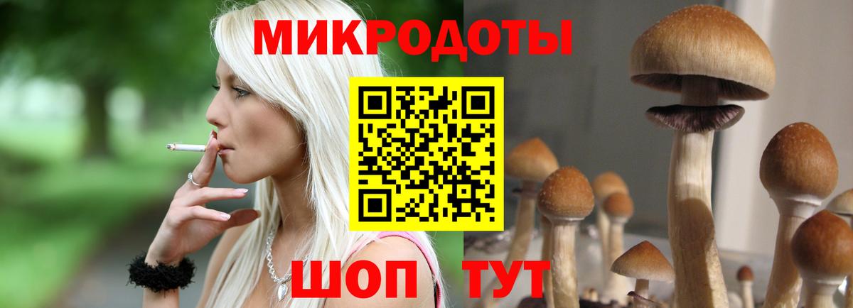 Галлюциногенные грибы GOLDEN TEACHER  цена   Владивосток  Вход с VPN 